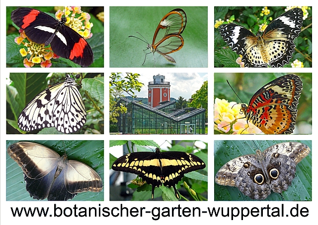 Aktuell Botanischer Garten Wuppertal